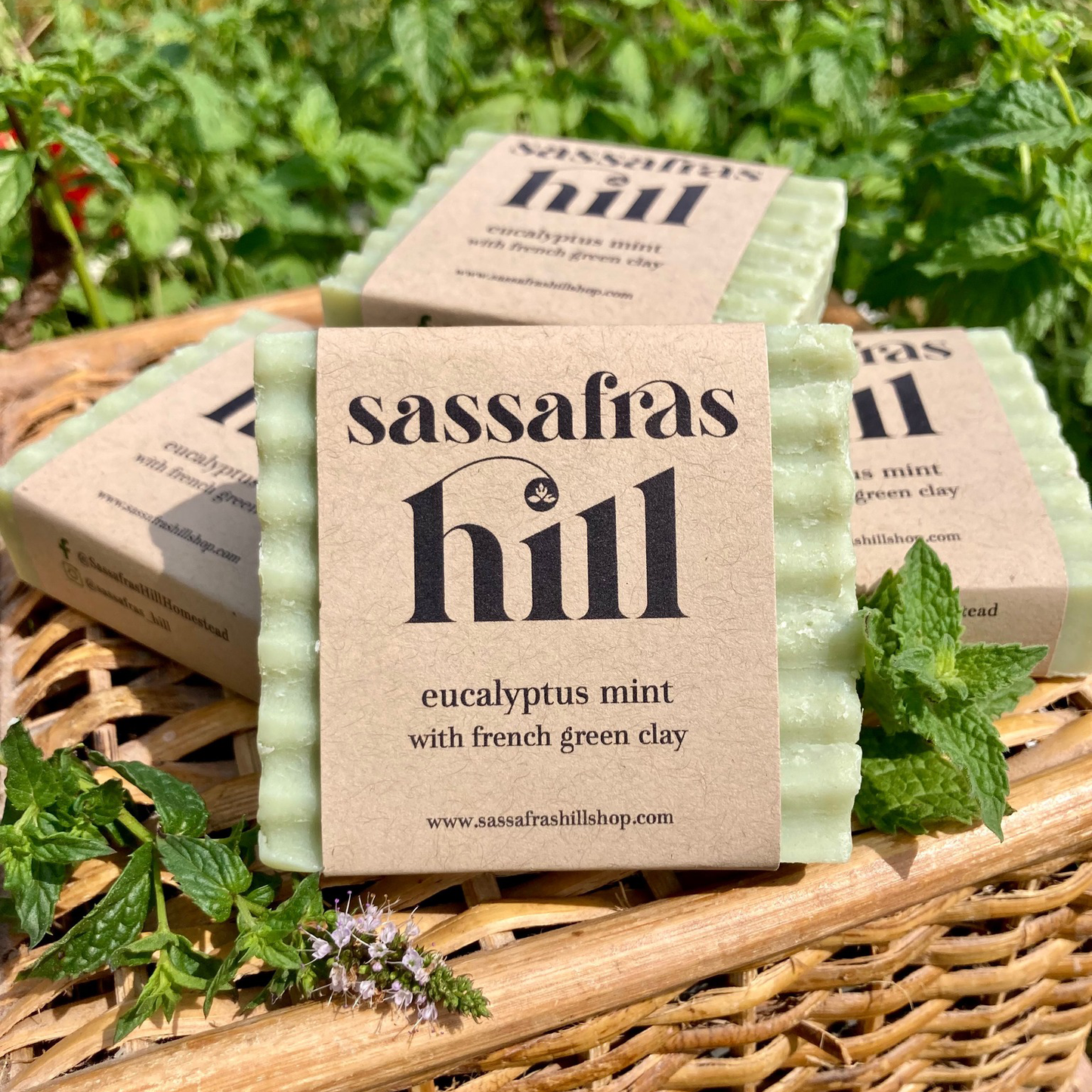 Eucalyptus Mint Body Bar - w/ French Green Clay