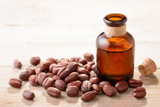 Jojoba seeds and jar of jojoba oil