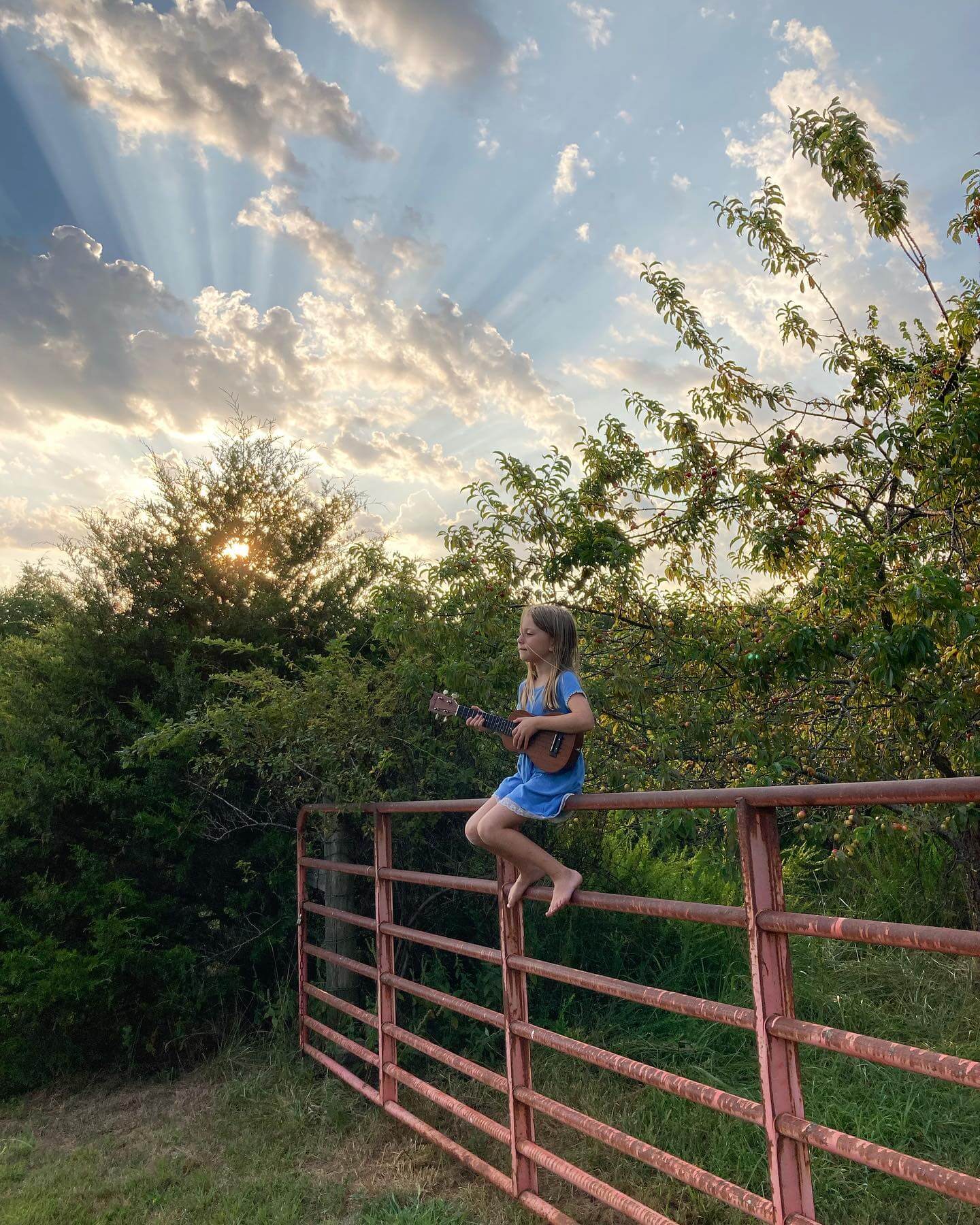 Little girl sitting on a farm gate in the sunset playing the ukelele at Sassafras Hill homestead