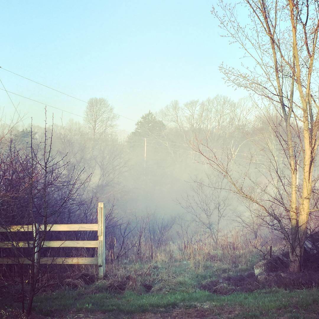 Morning fog in a low valley at Sassafras Hill homestead